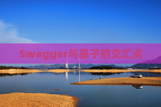 Swagger与惠子的交汇点